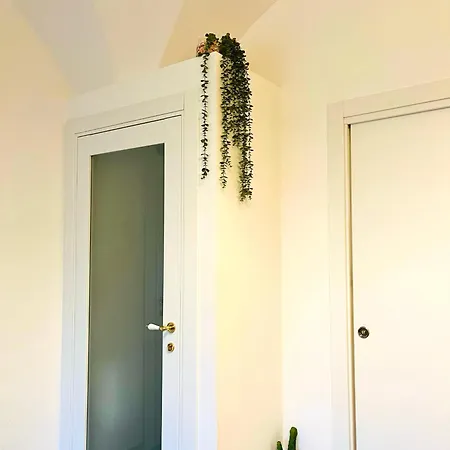 Dom wakacyjny Raimonda